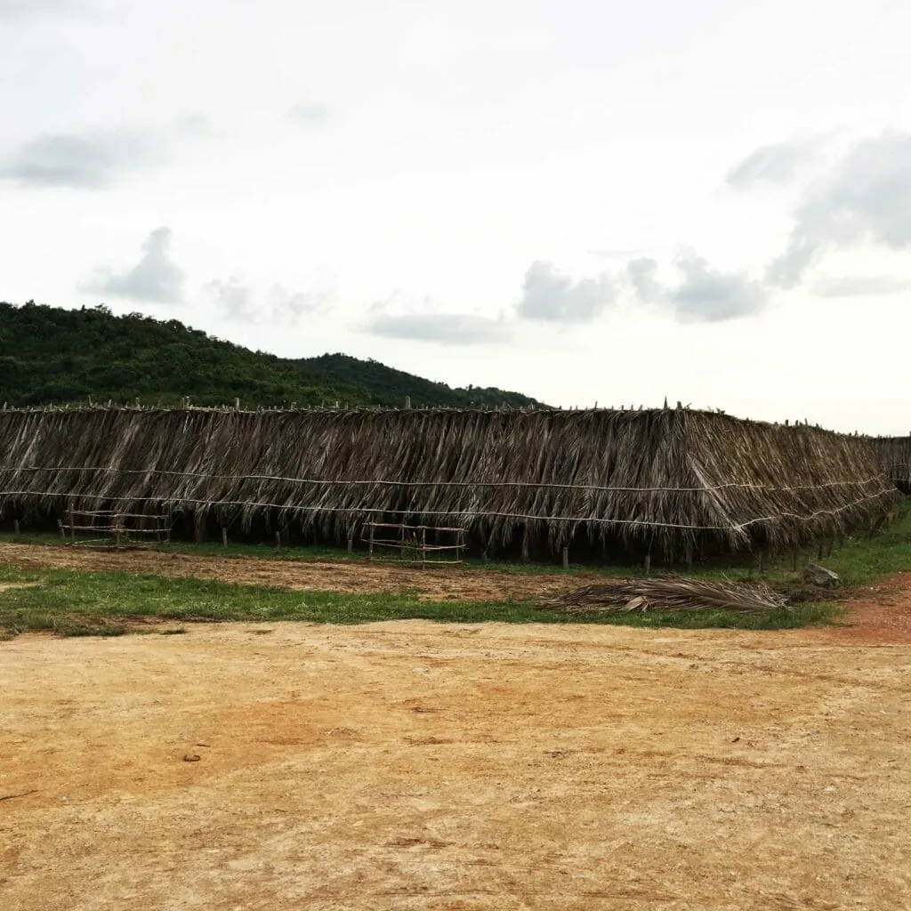 kampot-peperplantage-2