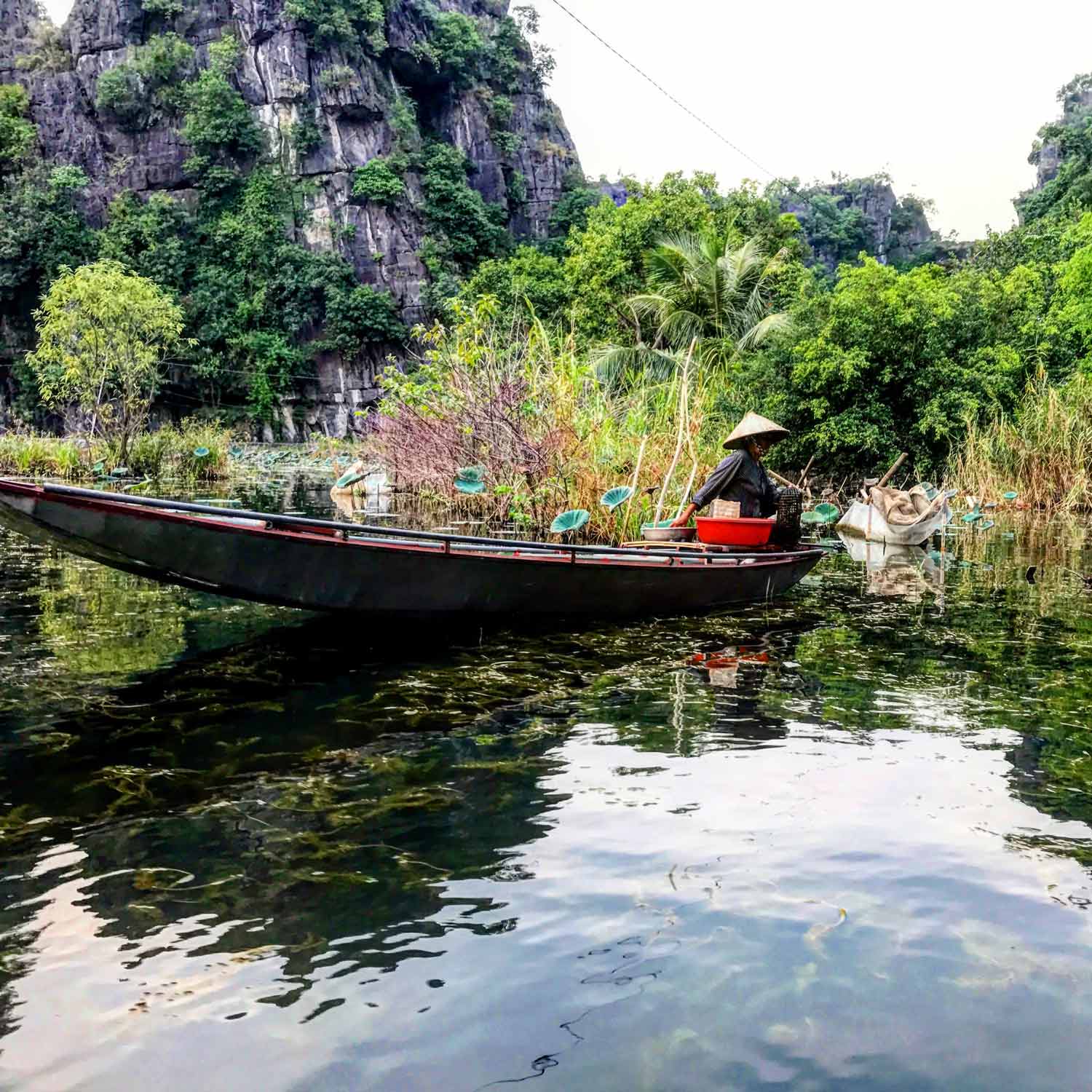 Tam Coc Fishing Lady