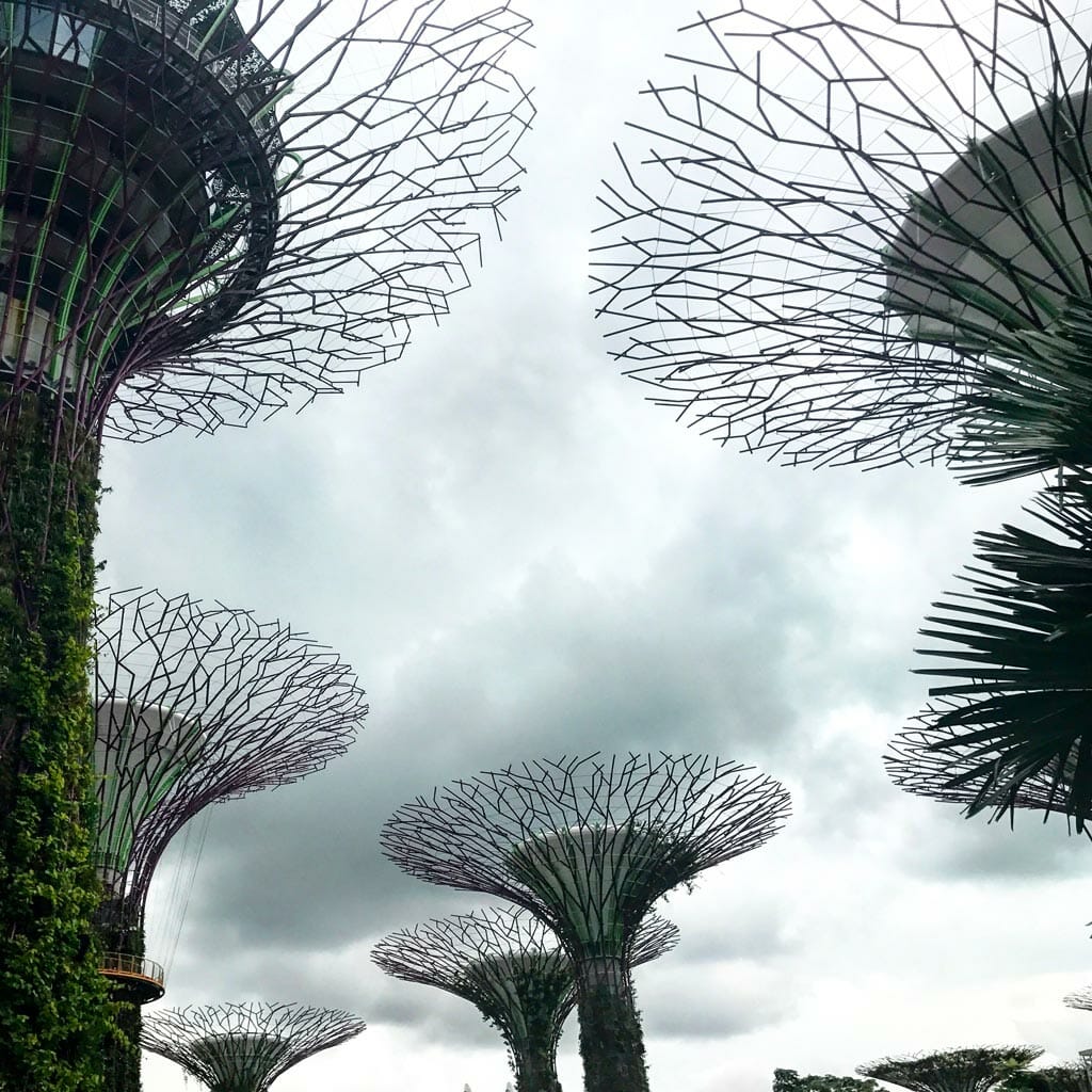 Singapore-Gardens-By-The-Bay
